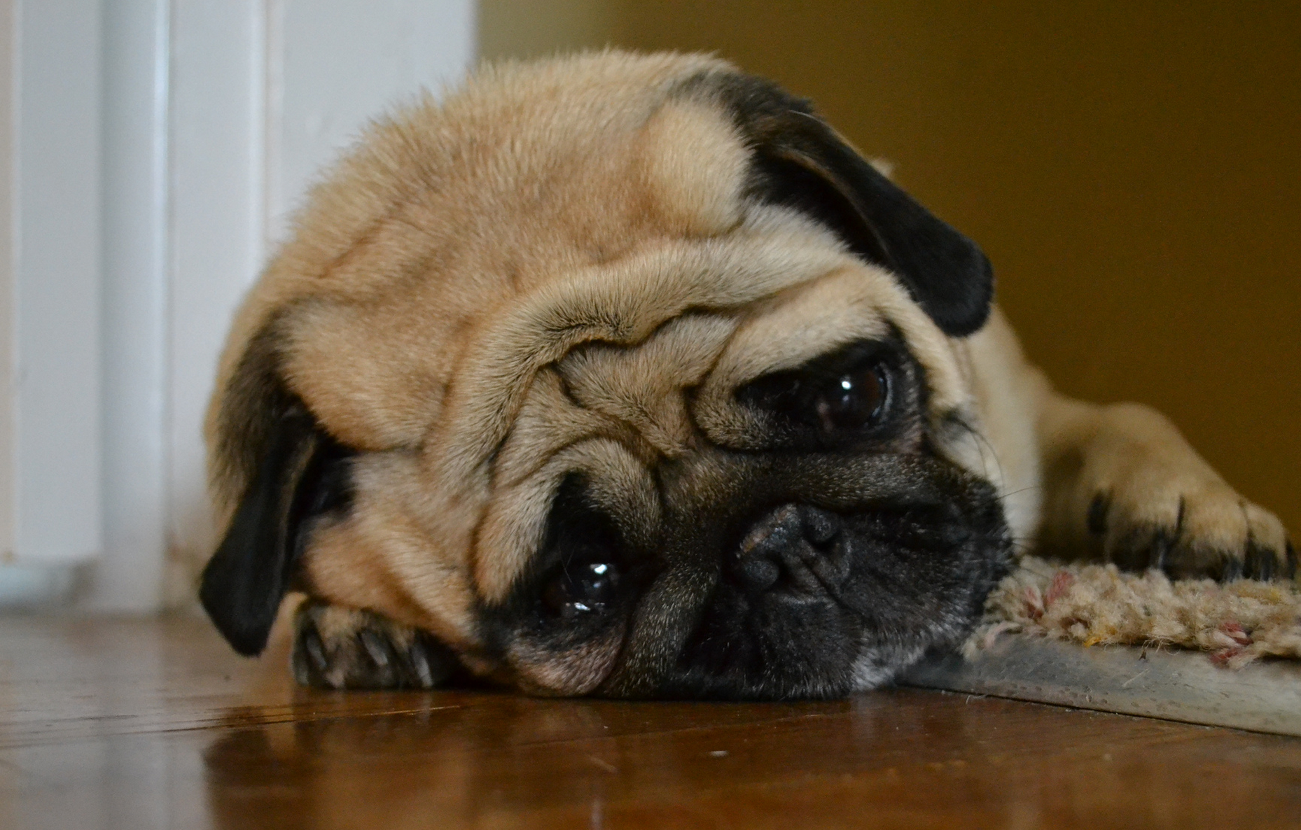 Screen_Shot_2014-01-05_at_10.18.10_AM Screen_Shot_2014-01-05_at_10.18.10_AM